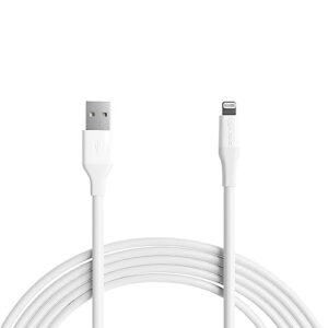 Amazon Basics Lightning to USB-A Cable for iPhone