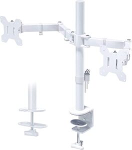 BONTEC Dual Monitor Stand for 13-27 inch Screens