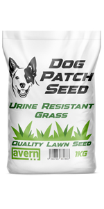 Avern Dog Patch Lawn Seed