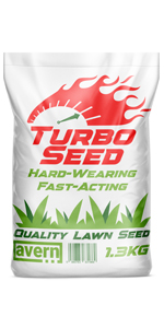 Avern Turbo Seed