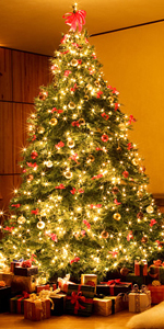 Christmas Tree Lights