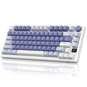 RK ROYAL KLUDGE M75 Mechanical Keyboard