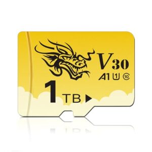 1TB Memory Card
