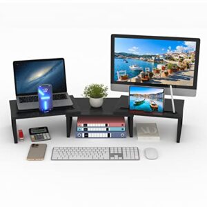 HORLIMER Dual Monitor Stand Riser for Desks