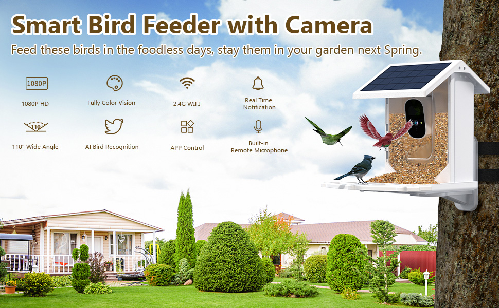 Bird Feeder with Camera