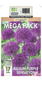Allium Mega Pack