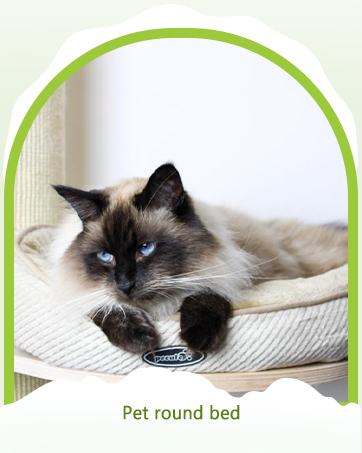 pet heating pad