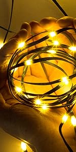 Outdoor Christmas Lights