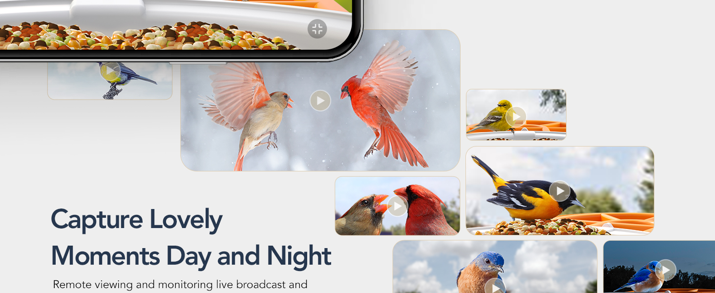 Bird Feeder with Camera