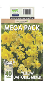 Daffodils Mega Mix