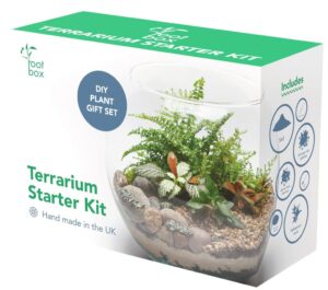 [CLEARANCE] Root Box™ Large Plant Terrarium Kit in scented giftbox | For Succulents