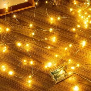 Ollny 5m 50 LED Fairy Lights Battery Operated