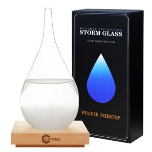 3DHOME Storm Glass