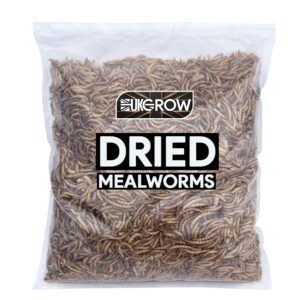 UK Grow Premium Dried Mealworms - 2L Eco-Friendly