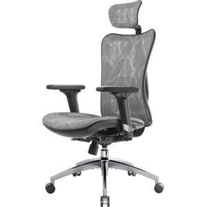 SIHOO Ergonomic Office Chair Mesh Desk Chair with Adjustable Lumbar Support 3D Armrests Breathable High Back Computer Chair (Grey)
