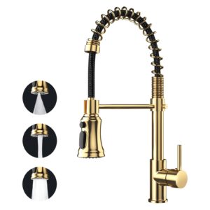 ZHZIRO Kitchen Tap