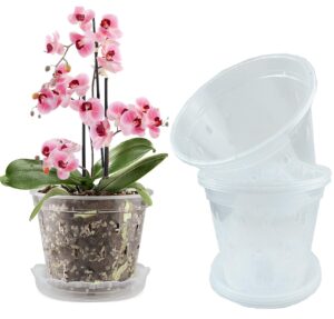 WDragon Clear Orchid Pot