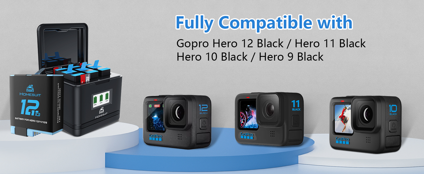 hero 12 battery