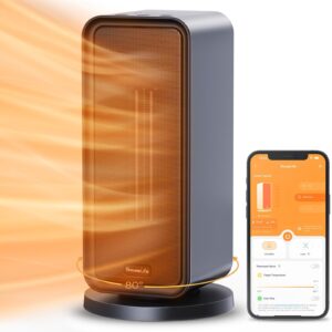 GoveeLife Electric Heater