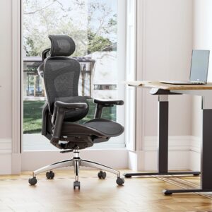 SIHOO Doro C300 Ergonomic Office Chair with Ultra Soft 3D Armrests