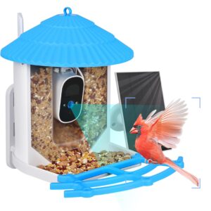 Bird Feeder with Camera