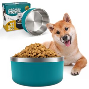 IKITCHEN Dog Bowl for Food and Water