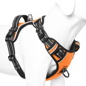 HEELE Dog Harness