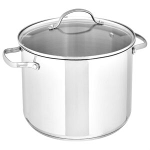 Amazon Basics Stainless Steel Stock Pot with Lid