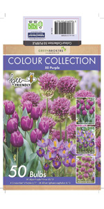 Purple Colour Collection Bulbs