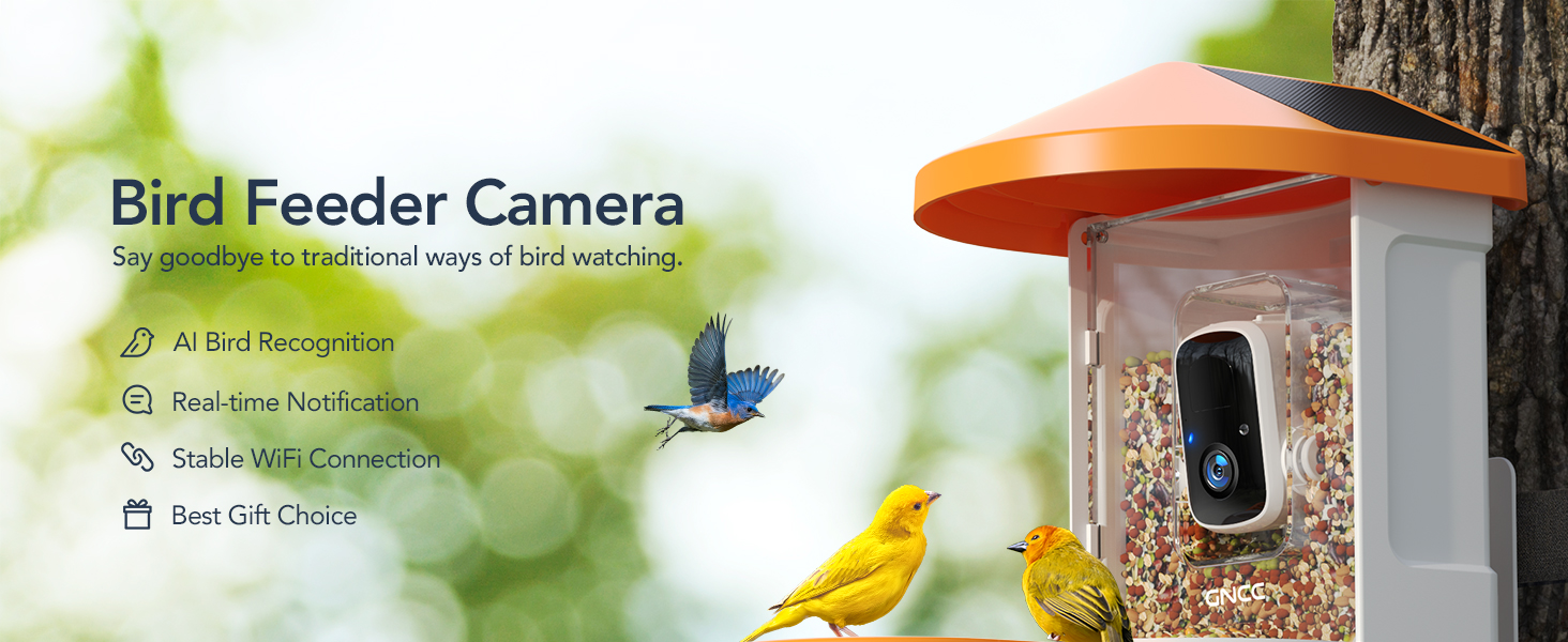 Bird Feeder with Camera