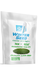 Avern Winter Lawn Seed