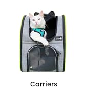 cat toys