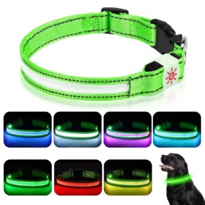 Petbank Light Up Dog Collar - USB Rechargeable LED Dog Light Up Collar Waterproof with High Visibility