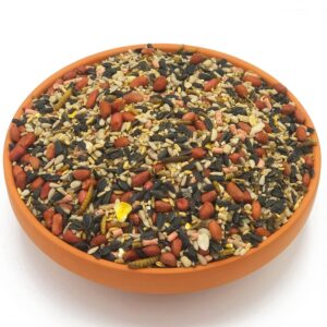 Swainston’s Peanut Power | High Energy Wild Bird Seed| No Mess Bird Seed Mix | Includes Peanuts