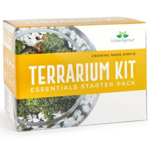 Plant Terrarium Kit for Succulent Plants and Cacti. Gardening Set Includes Cactus Soil