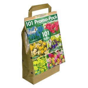 GreenBrokers Big Buy Value Bulb Collection- Pack of 6 Spring Flowering Varieties (Pack of 101) Bee Friendly