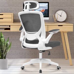 KERDOM Ergonomic Office Chair