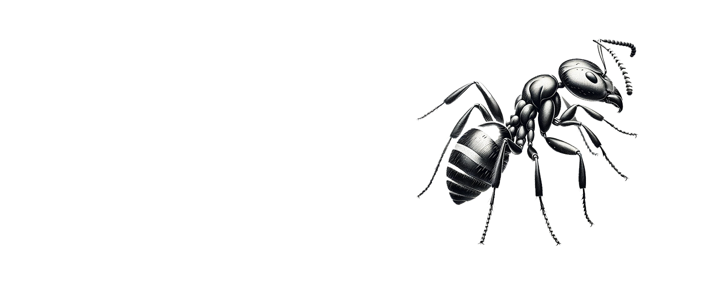 100% safe natural ant powder