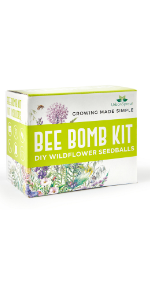 BEE BOMB