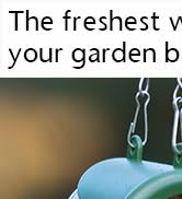 Bird Feeder