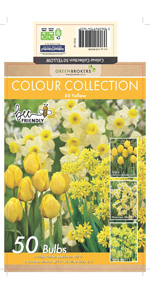 Yellow Colour Collection Bulbs