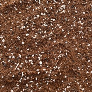 Terrarium Potting Mix with Perlite | Premium Blend for Vibrant Miniature Gardens | Lightweight and Well-Draining | Ideal for Succulents