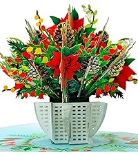 christmas cards poinsettia