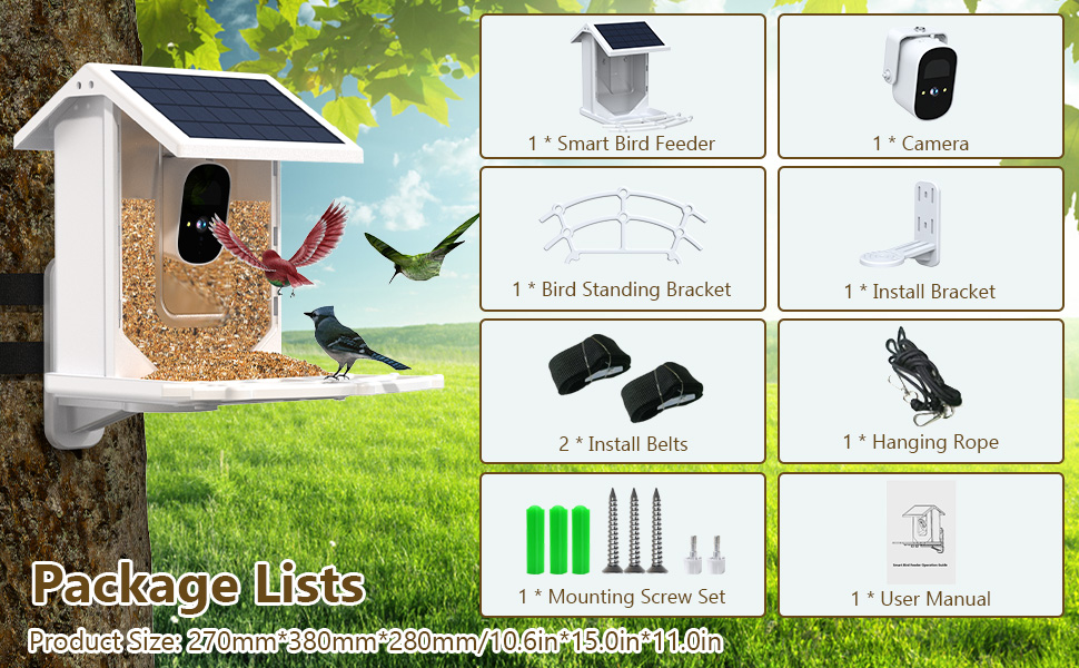 Bird Feeder with Camera