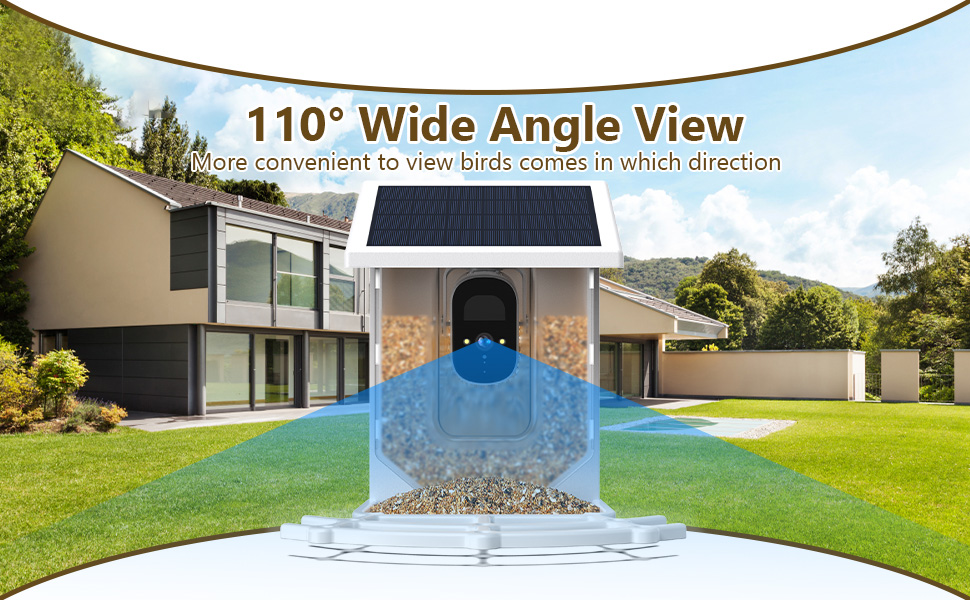Bird Feeder with Camera