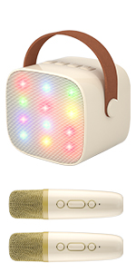 karaoke machine 2 microphones wireless