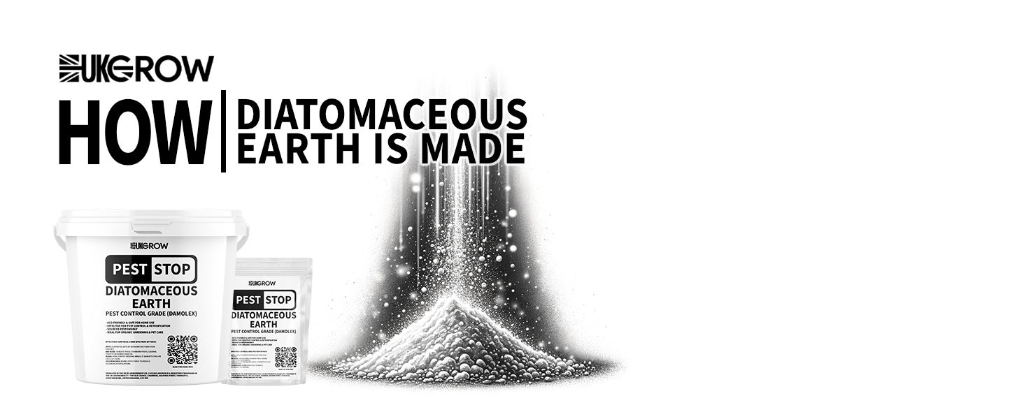 what is diatomaceous earth