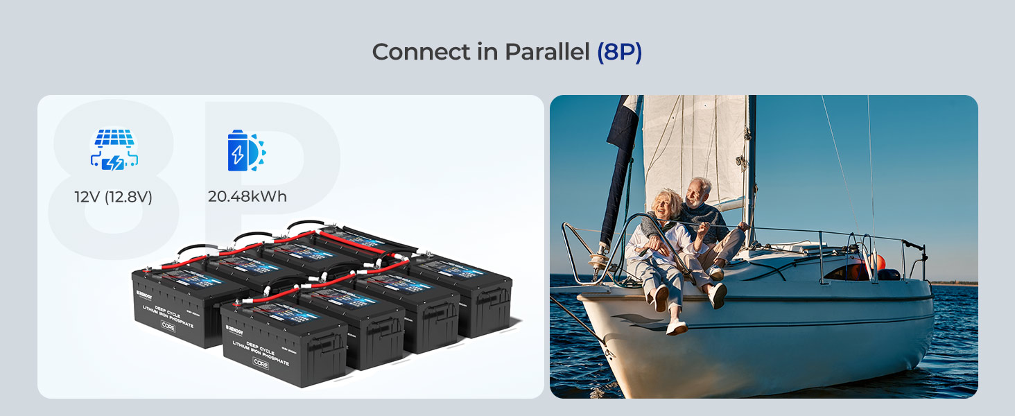 Renogy 12V 200Ah Core Series Deep Cycle Lithium Iron Phosphate Battery