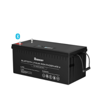 12V 200Ah Lithium Iron Phosphate Battery w/ Bluetooth