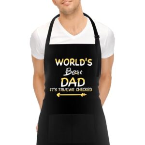 FunChaos BBQ Apron for Men
